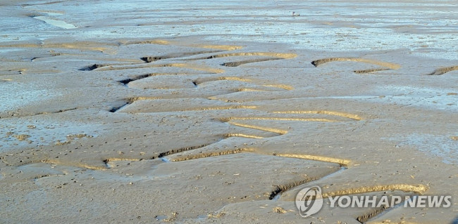 갯벌 ※ 기사와 직접 관련 없는 자료사진.