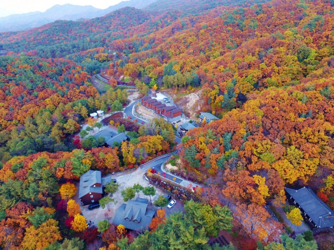 운악산 자연휴양림 전경