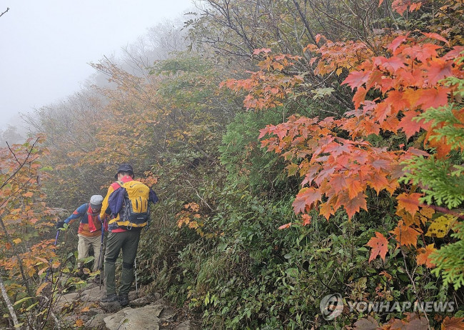 점차 물드는 설악산 단풍