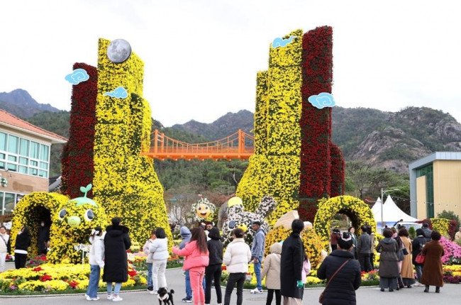 지난해 국화축제