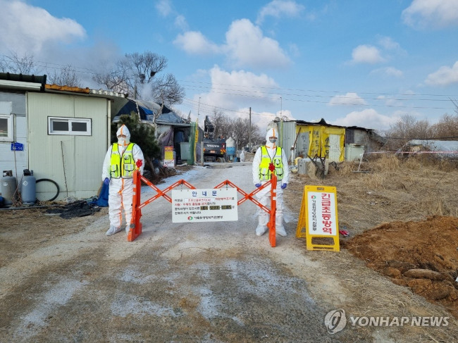 '긴급 초동방역, 진입 금지'