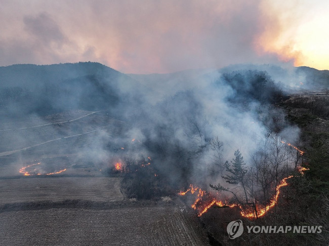 산불 번지는 의성