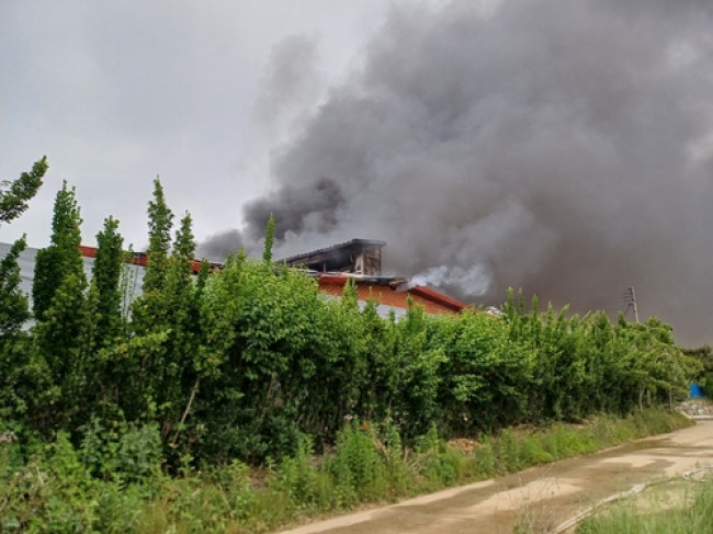 천안 풍세면 돈사 화재