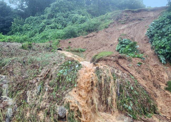폭우로 무너진 세종시 야산