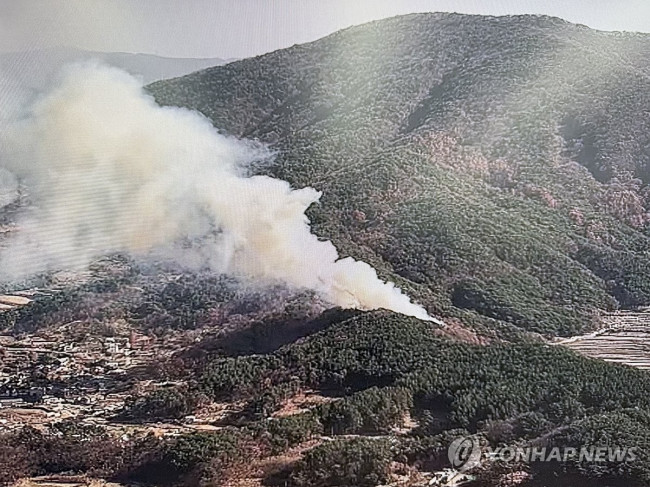 울산 울주군 산불 현장